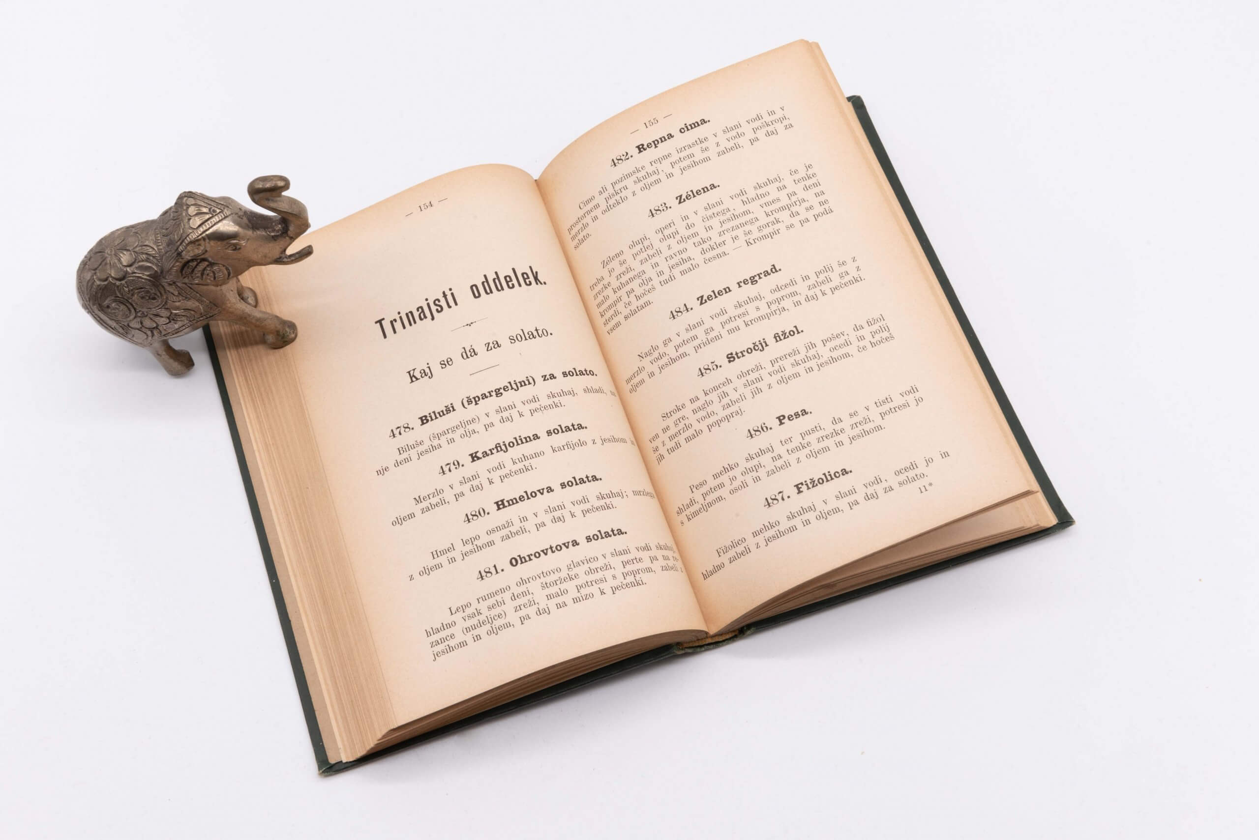 Magdalena Pleiweis: Slovenska Kuharica – 1890 Antikvarne knjige Magdalena Pleiweis: Slovenska Kuharica – 1890 Antikvarne knjige